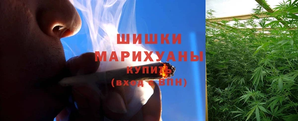 mix Богородск