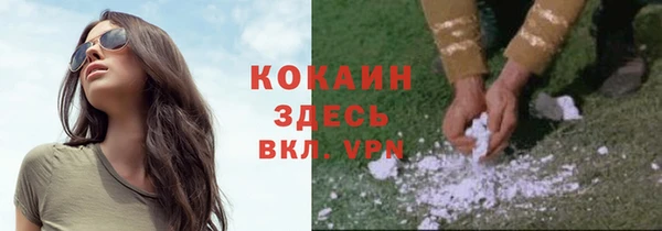 мяу мяу кристалл Богданович