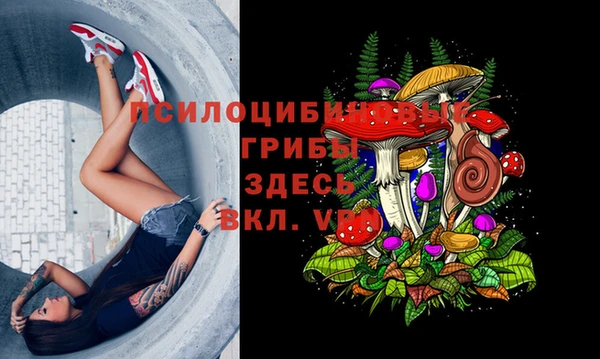 mix Богородск