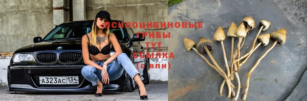 мяу мяу кристалл Богданович