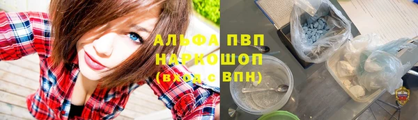 стафф Богородицк