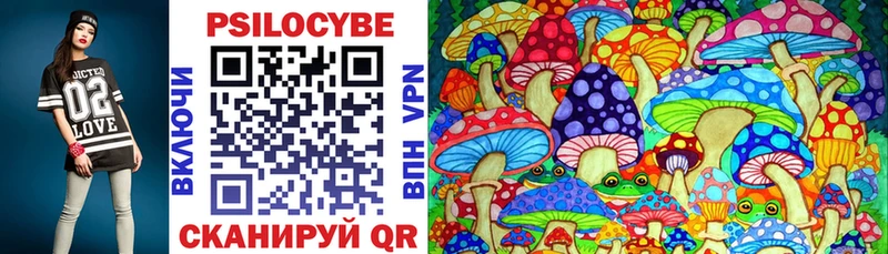 Купить где  Грязовец  Псилоцибиновые грибы MAGIC MUSHROOMS 